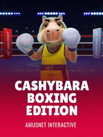 Cashybara Boxing Edition