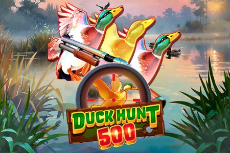Duck Hunt 500