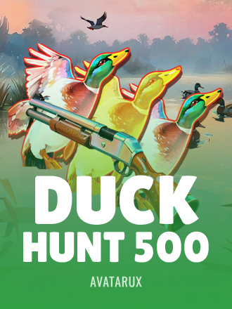 Duck Hunt 500