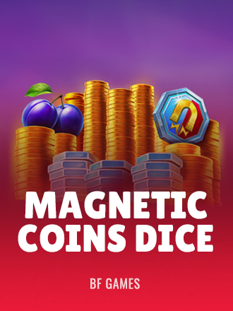Magnetic Coins Dice