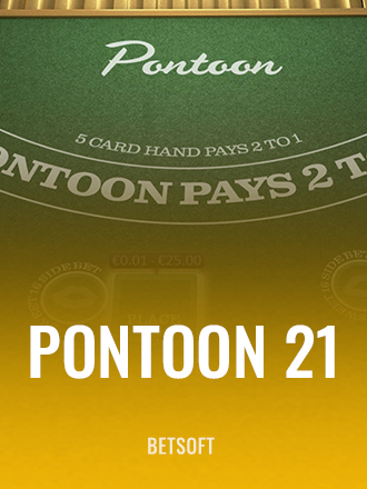 Pontoon 21