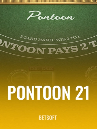 Pontoon 21