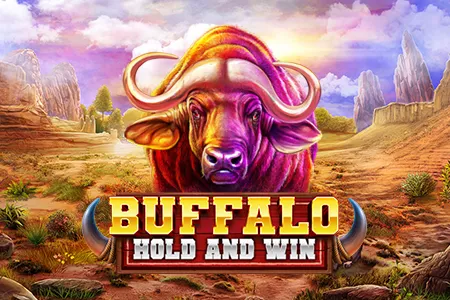 Buffalo Hold and Win