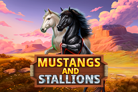 Mustangs and Stallions