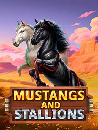 Mustangs and Stallions