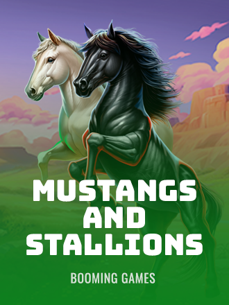 Mustangs and Stallions