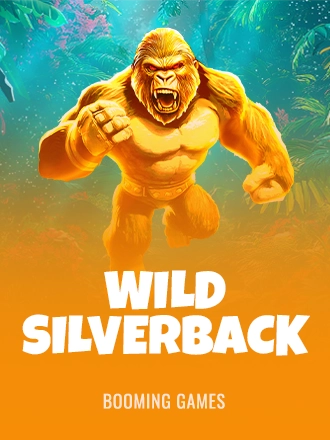Wild Silverback