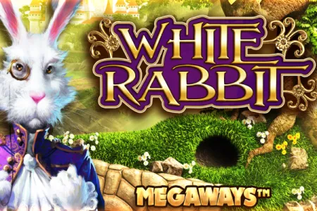 White Rabbit