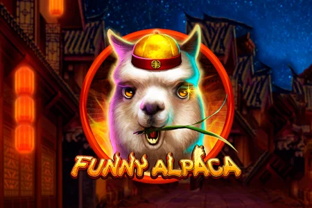 Funny Alpaca