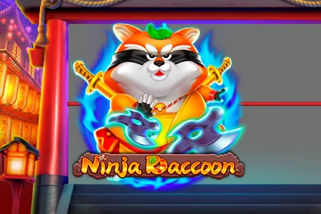Ninja Raccoon