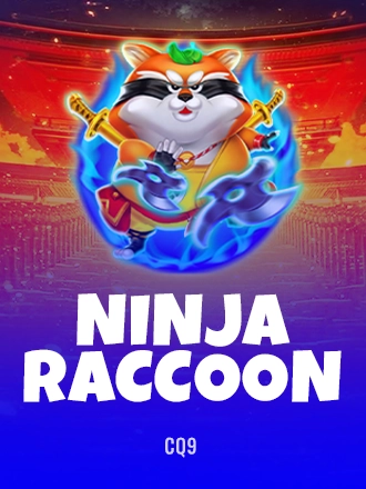 Ninja Raccoon