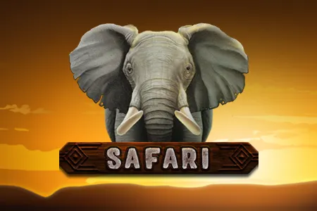 Safari