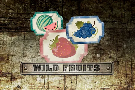 Wild Fruits