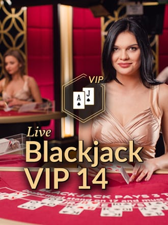 Blackjack VIP 14
