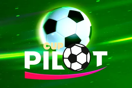 Pilot Cup