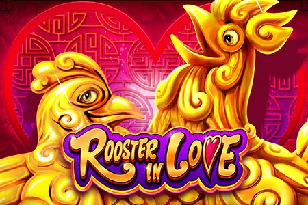 Rooster In Love
