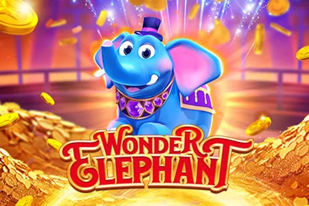 Wonder Elephant