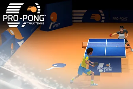Pro-Pong Table Tennis