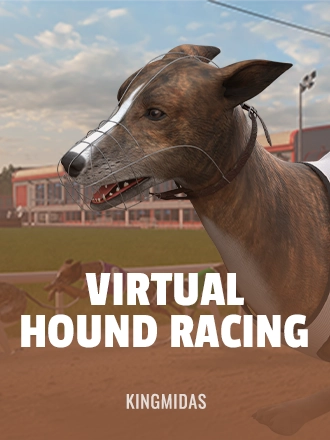 Virtual Hound Racing
