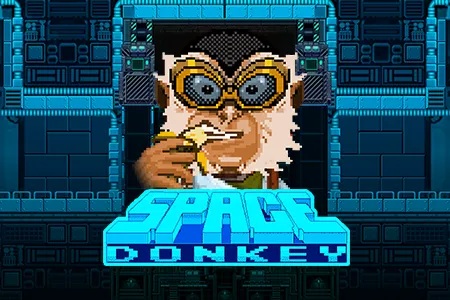 Space Donkey