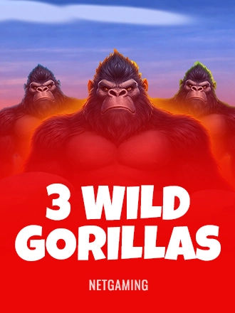 3 Wild Gorillas