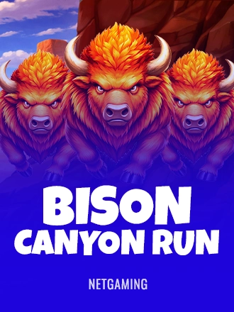 Bison Canyon Run