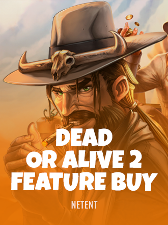 Dead or Alive 2 Feature Buy