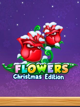 Flowers Christmas Edition