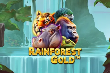 Rainforest Gold