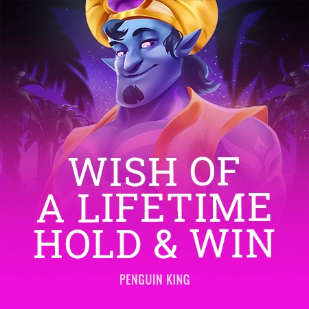 Wish of a Lifetime: Hold & Win