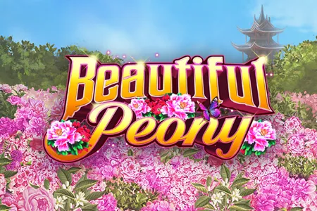 Beautiful Peony