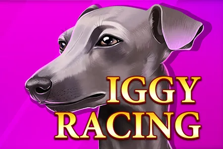 Iggy Racing
