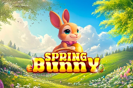 Spring Bunny