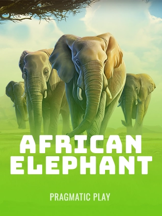 African Elephant