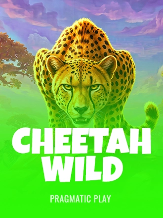 Cheetah Wild