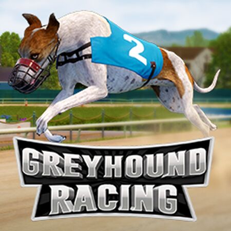 pgp_greyhound_racing