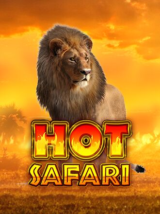 Hot Safari
