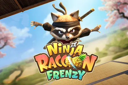 Ninja Raccoon Frenzy