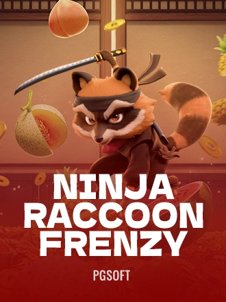 Ninja Raccoon Frenzy