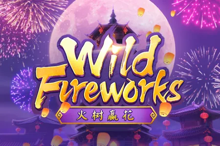 Wild Fireworks