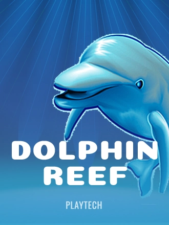 Dolphin Reef