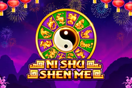 Ni Shu Shen Me