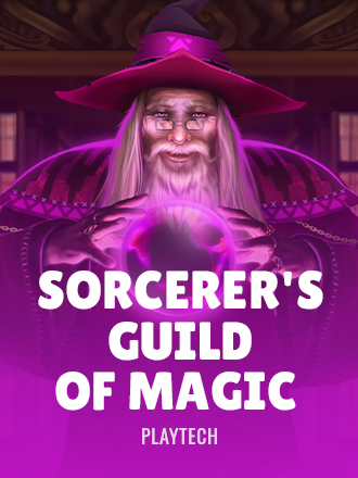 Sorcerer's Guild of Magic