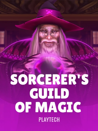 Sorcerer's Guild of Magic