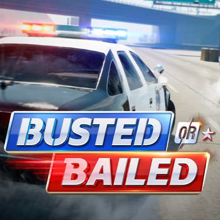 pltl_busted_or_bailed