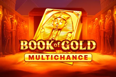 Book of Gold Multichance