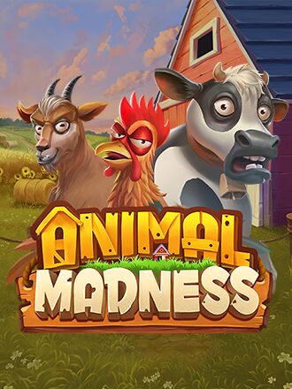 Animal Madness