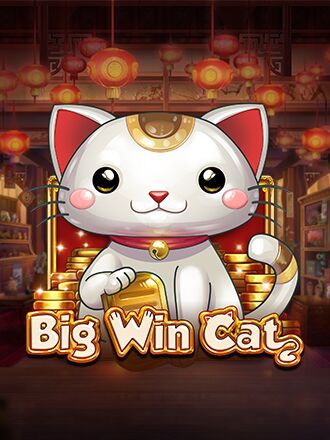 Big Win Cat