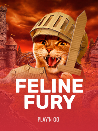 Feline Fury