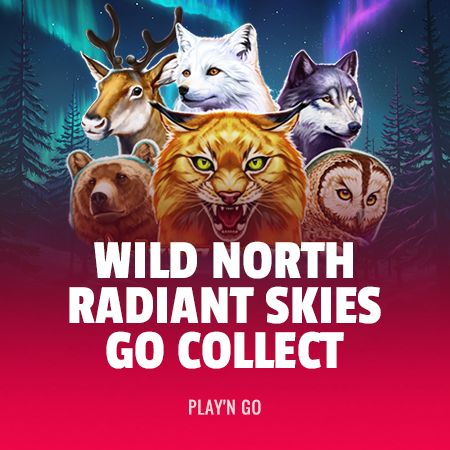 Wild North Radiant Skies Go Collect